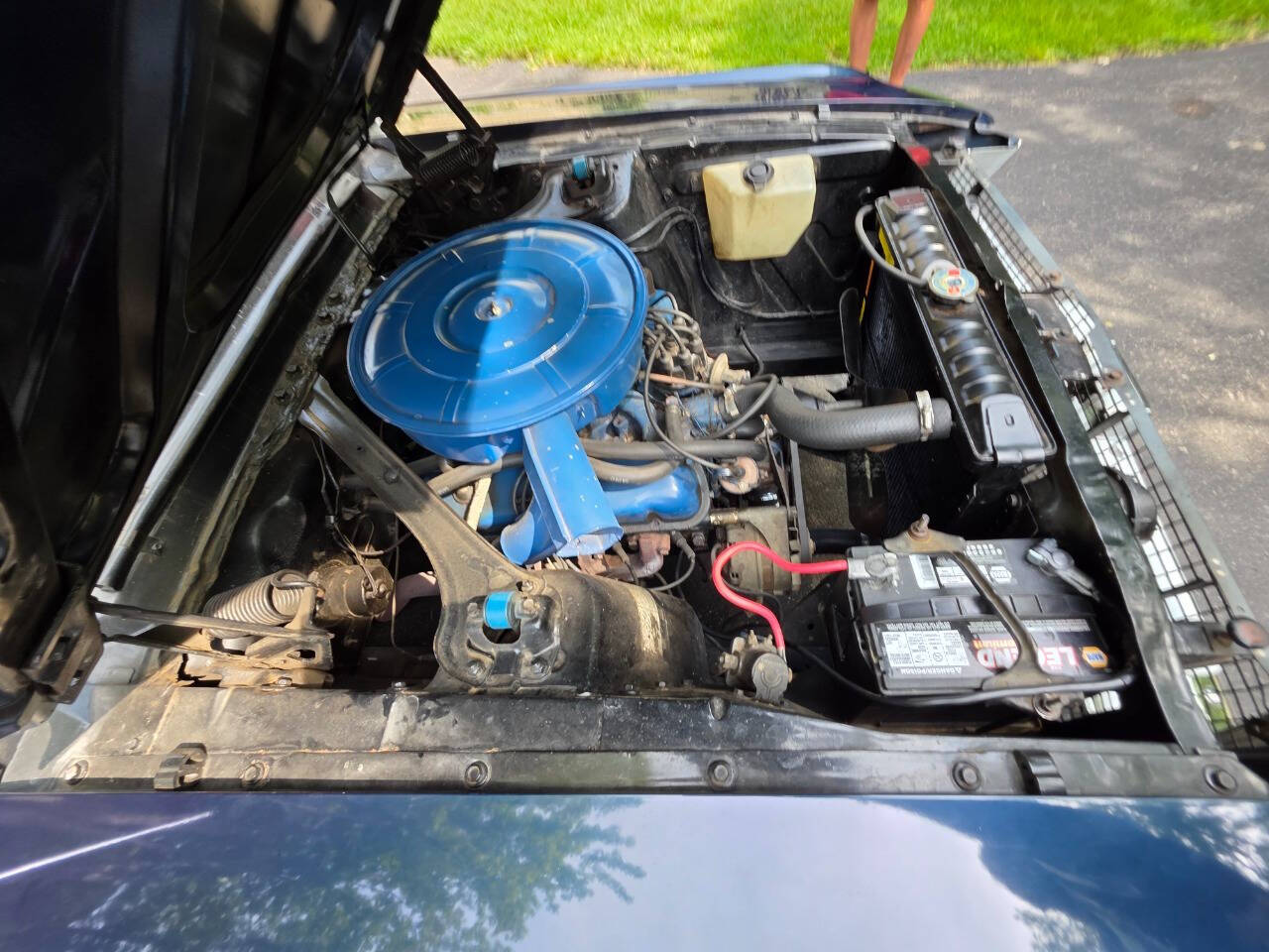 1967 Ford Mustang 198