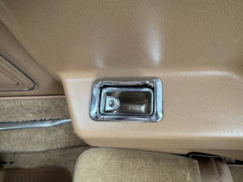 1981 Pontiac Firebird Trans Am