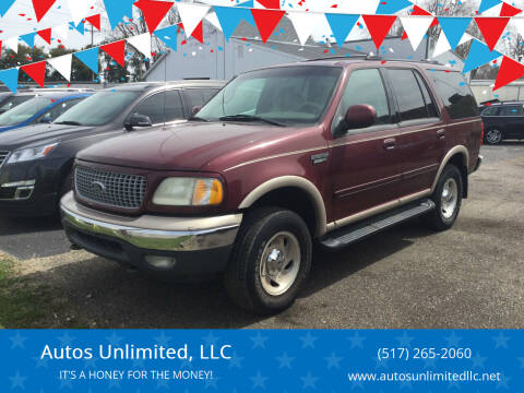 1999 Ford Expedition for sale at Autos Unlimited, LLC in Adrian MI