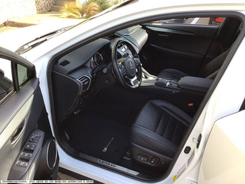 2021 Lexus NX 300 F SPORT