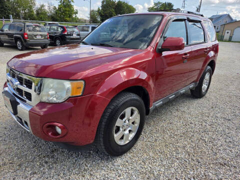 2011 Ford Escape Limited