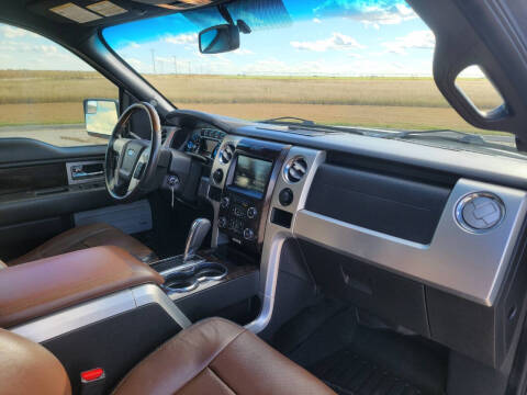 2014 Ford F-150 Platinum