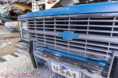 1984 Chevrolet C/K 10 Series
