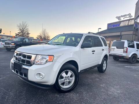 2011 Ford Escape for sale at FASTRAX AUTO GROUP in Lawrenceburg KY
