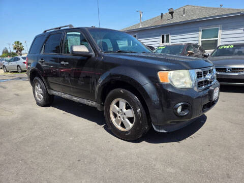 2011 Ford Escape XLT