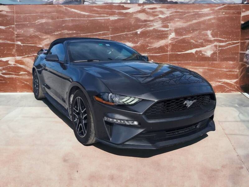 2019 Ford Mustang for sale at New Tampa Auto in Tampa FL