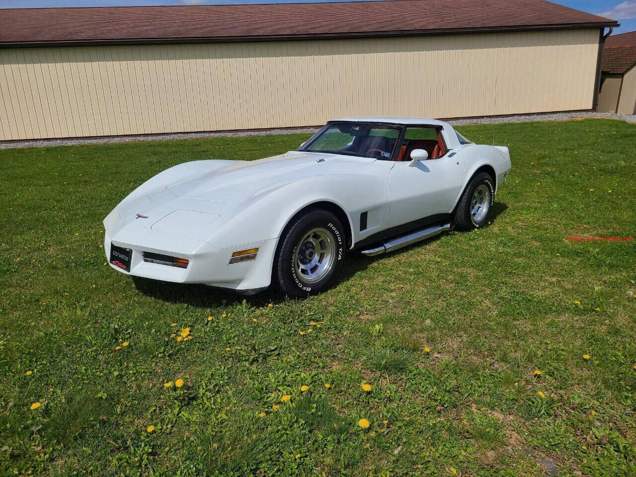 1981 Chevrolet Corvette 3