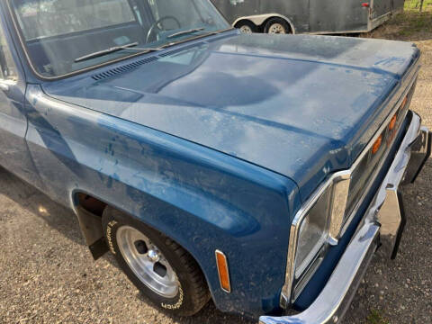1979 GMC C1500 SIERRA