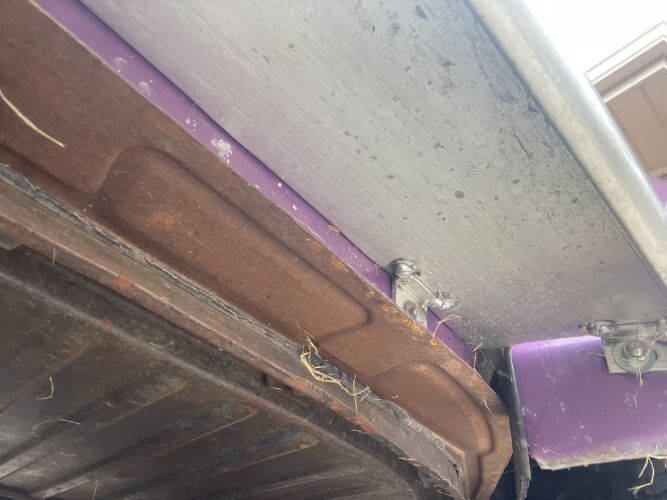 1966 Volkswagen Beetle