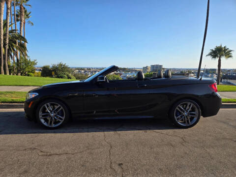 2015 BMW 2 Series 228i