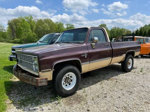 1983 Chevrolet C/K 10 Series for sale at FIREBALL MOTORS LLC in Lowellville OH