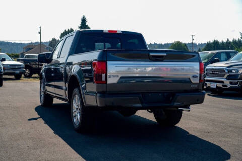 2019 Ford F-150 Platinum