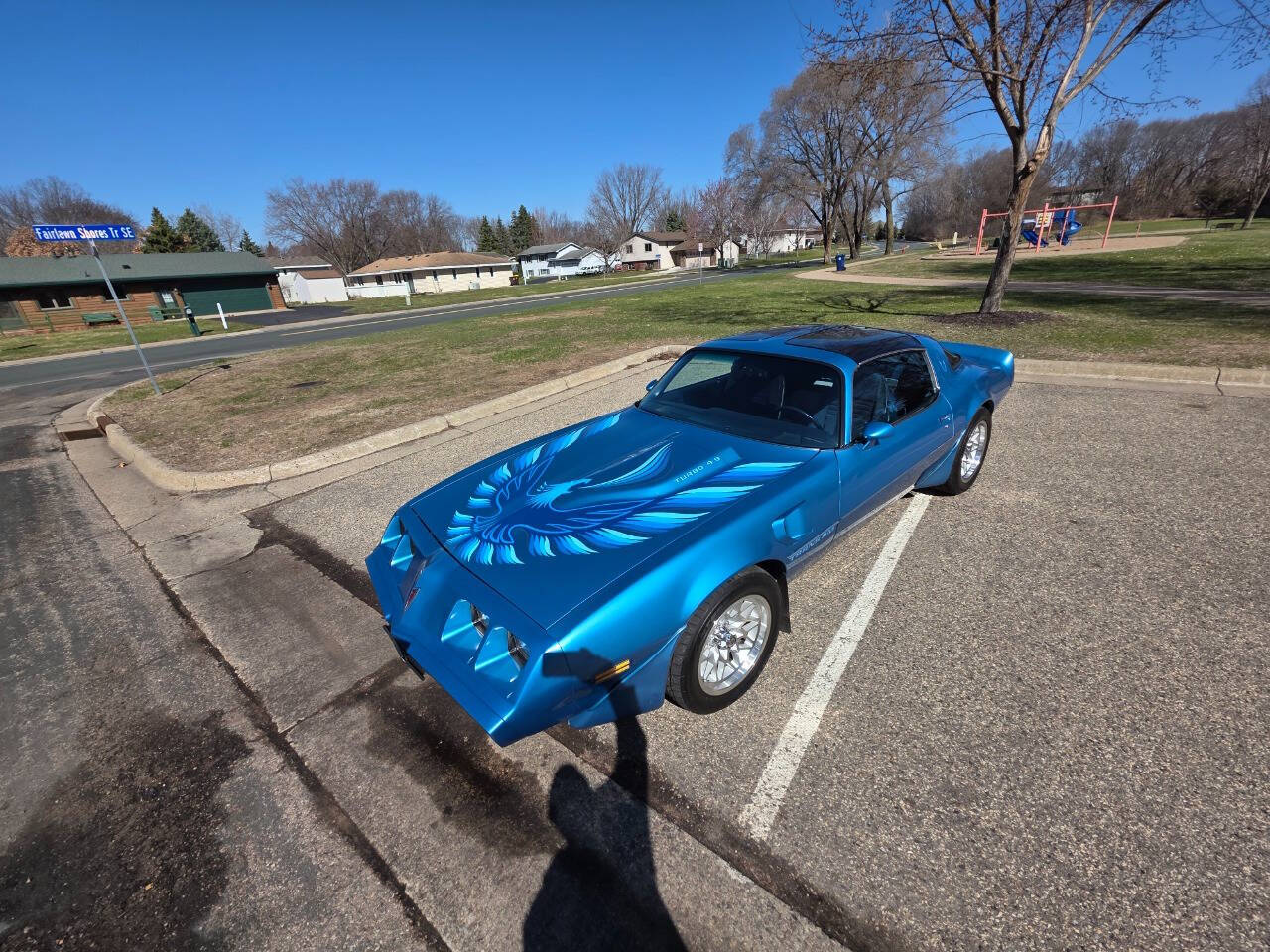 1980 Pontiac Firebird Trans Am 6