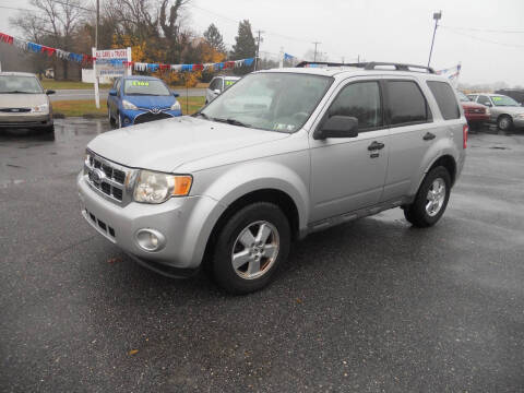 2009 Ford Escape XLT
