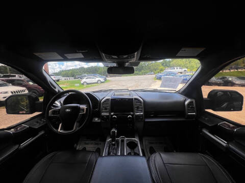 2015 Ford F-150 Platinum