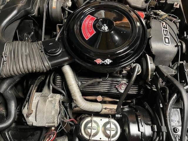 1981 Chevrolet Corvette
