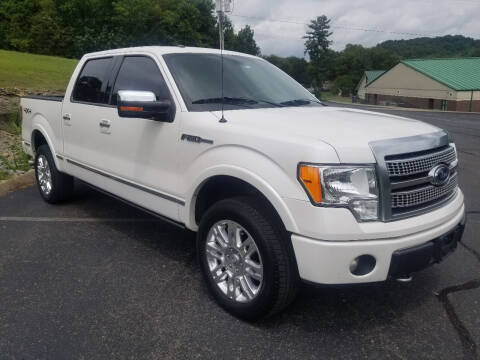 2011 Ford F-150 for sale at GT Auto Group in Goodlettsville TN