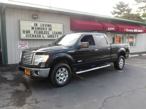 2011 Ford F-150 for sale at GRESTY AUTO SALES in Loves Park IL