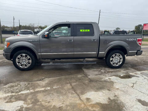2010 Ford F-150 Platinum