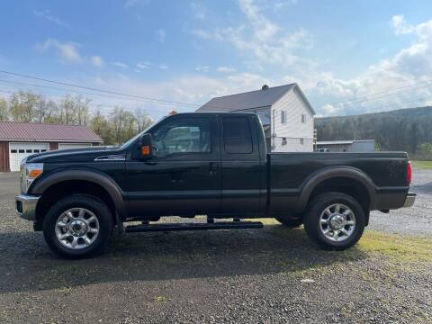 2015 Ford F-250 Super Duty for sale at Brush & Palette Auto in Candor NY
