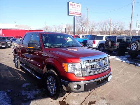 2014 Ford F-150 for sale at Marty's Auto Sales in Savage MN