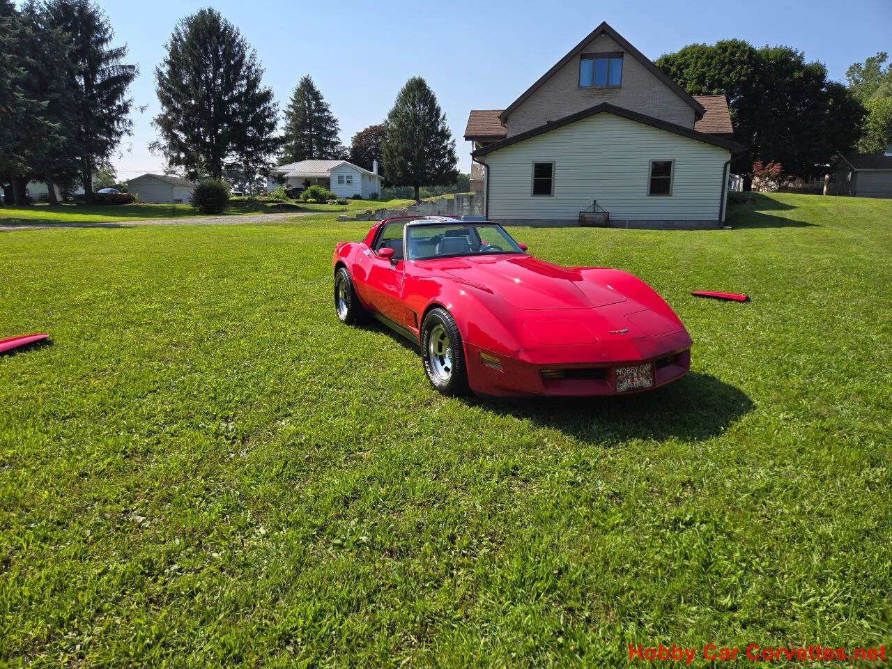 1981 Chevrolet Corvette 64