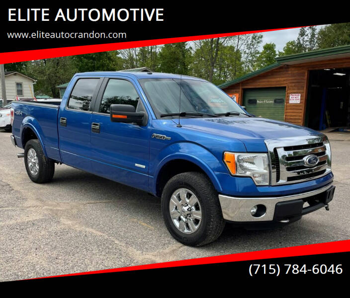 2011 Ford F-150 for sale at ELITE AUTOMOTIVE in Crandon WI