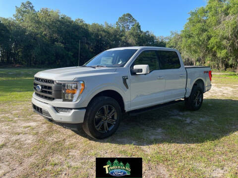 2023 Ford F-150 for sale at TIMBERLAND FORD in Perry FL
