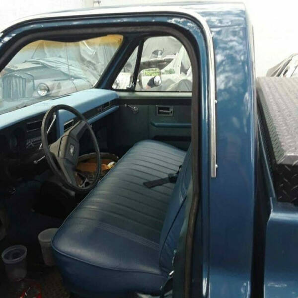 1981 Chevrolet C/K 10 Series C10 Silverado