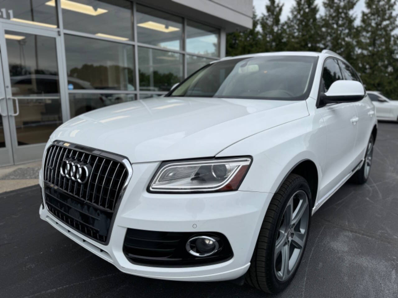 2014 Audi Q5 for sale at Opus Motorcars in Utica, MI