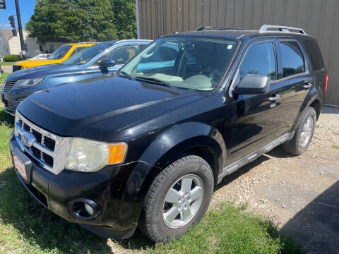2010 Ford Escape XLT