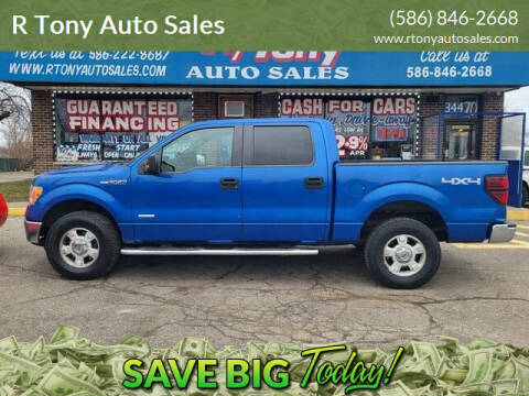 2011 Ford F-150 for sale at R Tony Auto Sales in Clinton Township MI