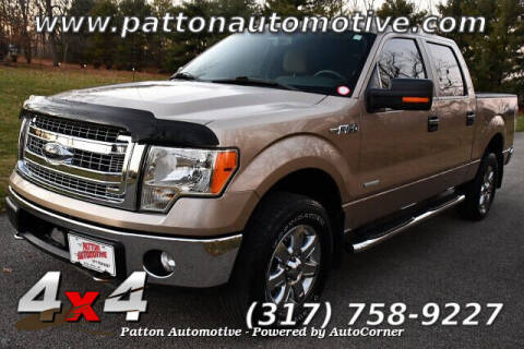2013 Ford F-150 for sale at Patton Automotive in Sheridan IN
