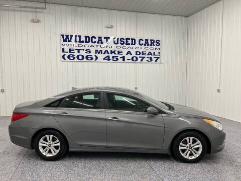 2013 Hyundai Sonata for sale at Wildcat Used Cars in Somerset KY