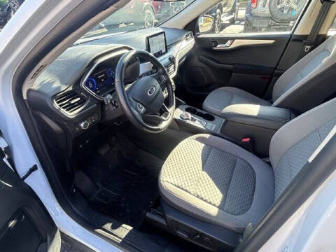 2020 Ford Escape Hybrid SE Sport