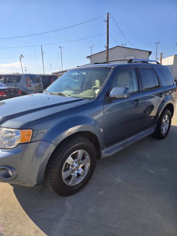 2011 Ford Escape Limited photo 2