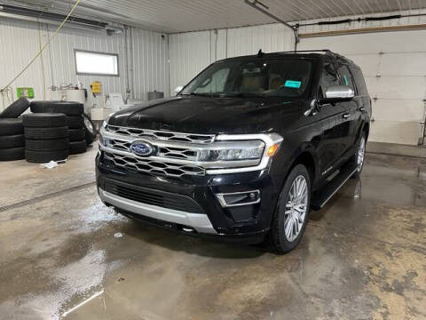 2023 Ford Expedition for sale at Monster Motors in Michigan Center MI