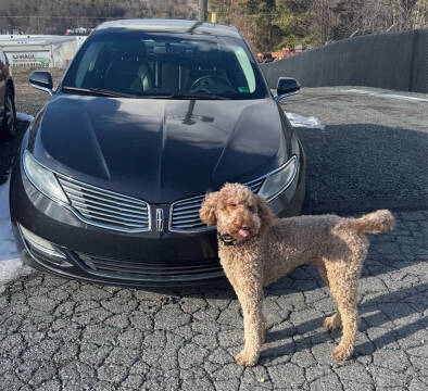 2014 Lincoln MKZ for sale at Galax Guarantee Auto in Galax VA