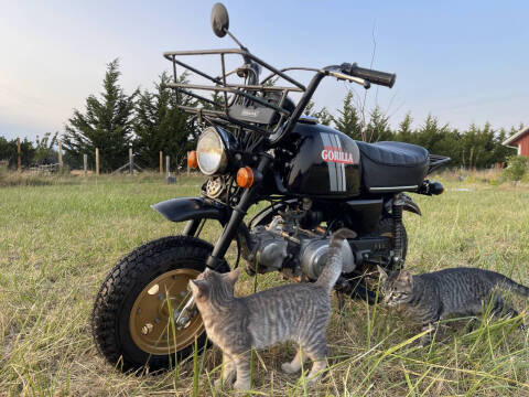 1983 Honda Gorilla