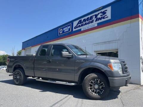 2012 Ford F-150 for sale at Amey's Garage Inc in Cherryville PA