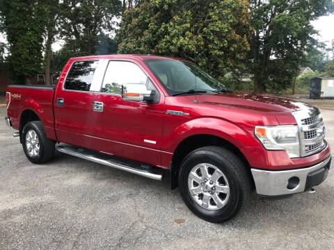 2014 Ford F-150 for sale at Cherry Motors in Greenville SC