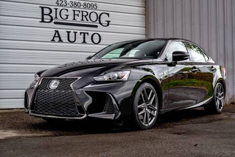 2019 Lexus IS 300 for sale at Big Frog Auto in Cleveland TN