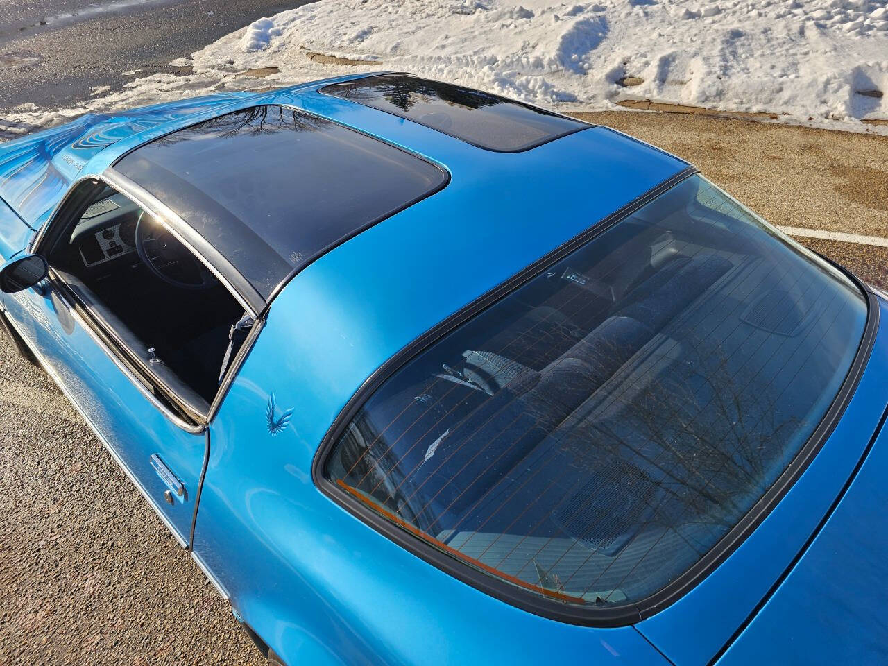 1980 Pontiac Firebird Trans Am 223