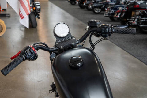 2010 Harley-Davidson Iron 883
