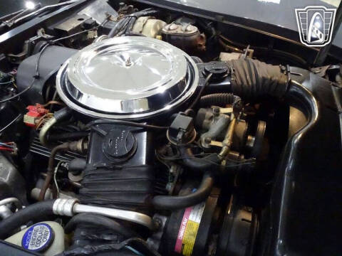 1981 Chevrolet Corvette