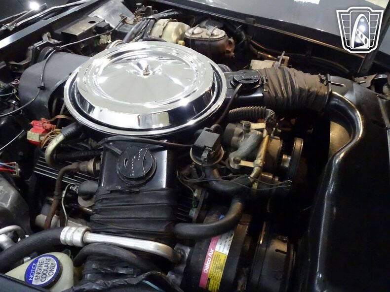 1981 Chevrolet Corvette