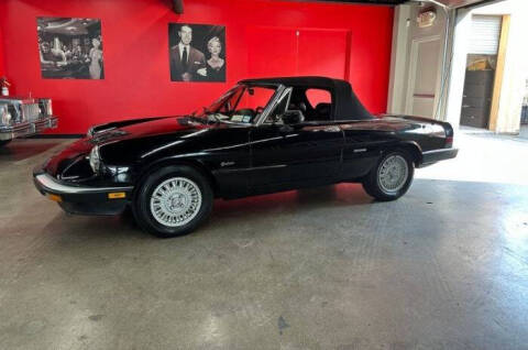 1987 Alfa Romeo Spider Graduate
