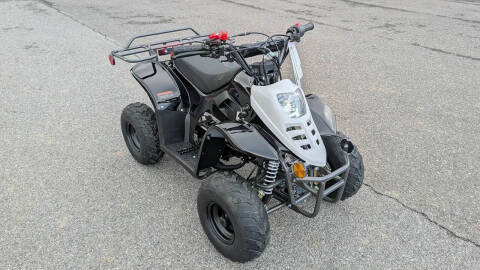 2024 TrailMaster Mini 110 Sport