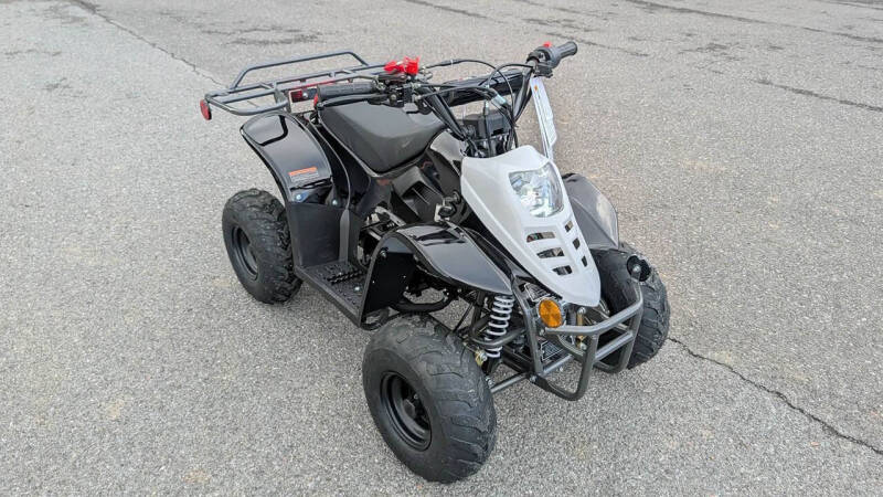 2025 TrailMaster Mini 110 Sport