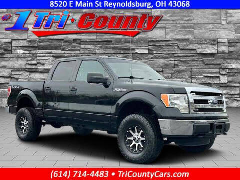 2013 Ford F-150 for sale at Tri-County Pre-Owned Superstore in Reynoldsburg OH